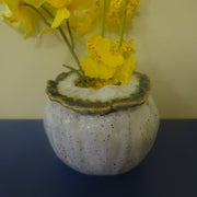 Small Vase/planter in Cream with Gold Highlights