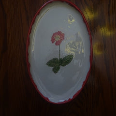 Pretty Plate with Red Flower