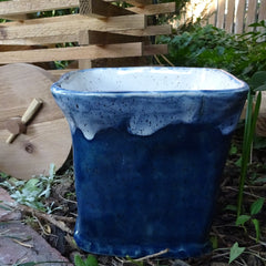 Blue and White Planter in Fun Wooden Cart
